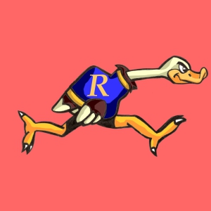 Ostrich-Run-Ostrich1