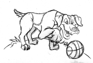 geerman shorthaired pointer