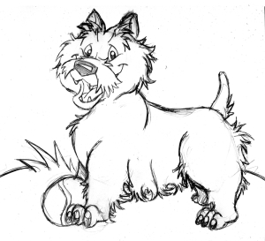 west highland terrier