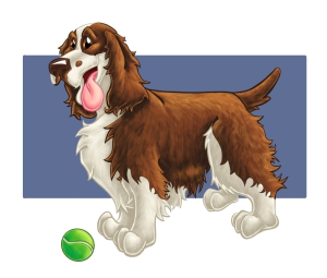 English-Springer-Spaniel
