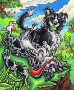 Kannard-H-Border-Collies