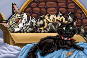 Matthew-LeVan-Low-Res