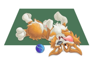 Pembroke-Welsh-Corgi