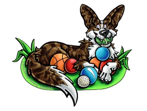 cardigan welsh corgi