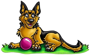 german shepherd-old-got-ball