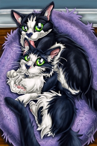 matthew-Levan-b-lowres