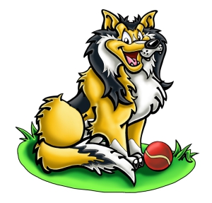 shetland sheepdog-old-got-ball