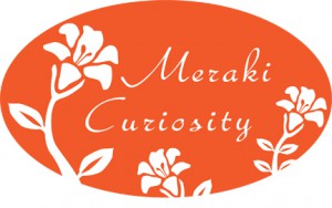 Meraki-Curiosity-Final-low-resolution-for-web