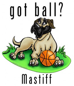 mastiff