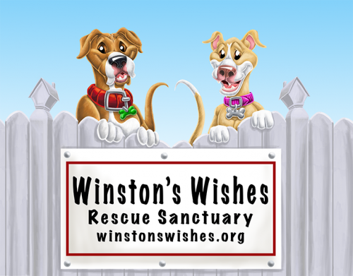 winstons-wishes-logo-final-revised-6-12-2019-low-res